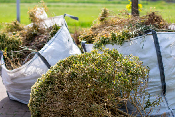 Best Household Junk Removal  in Clermont, IN